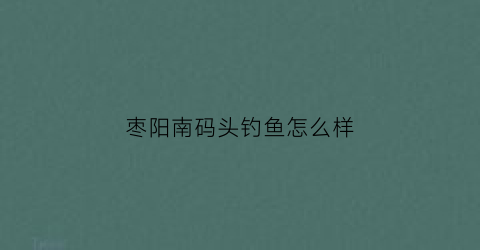 枣阳南码头钓鱼怎么样(枣阳南码头钓鱼怎么样啊)