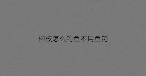 柳枝怎么钓鱼不用鱼钩(柳枝做鱼竿)