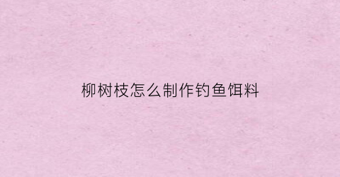 “柳树枝怎么制作钓鱼饵料(柳树枝可以做什么手工)