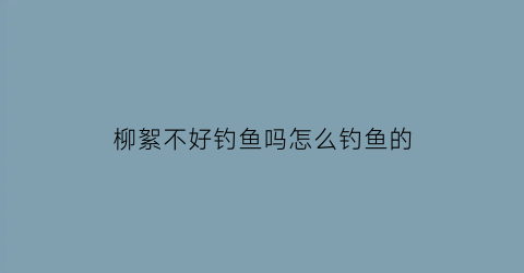 柳絮不好钓鱼吗怎么钓鱼的(柳絮怎么样)