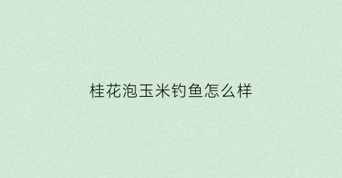 “桂花泡玉米钓鱼怎么样(桂花泡玉米钓鱼怎么样视频)