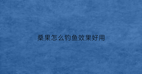 桑果怎么钓鱼效果好用(桑果怎么钓鱼效果好用一点)