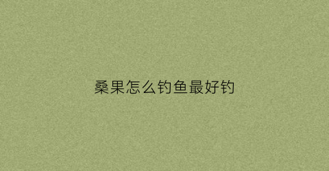桑果怎么钓鱼最好钓(桑果钓鱼鱼钩要沉底吗)