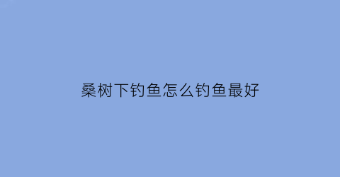 桑树下钓鱼怎么钓鱼最好(桑树下钓鱼钓底还是钓浮)