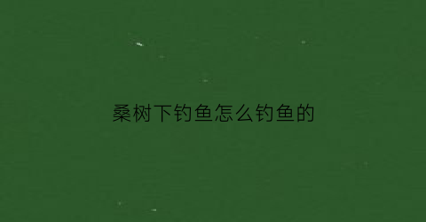 桑树下钓鱼怎么钓鱼的(桑椹树下钓鱼)