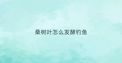 桑树叶怎么发酵钓鱼(桑树叶能钓鱼吗)