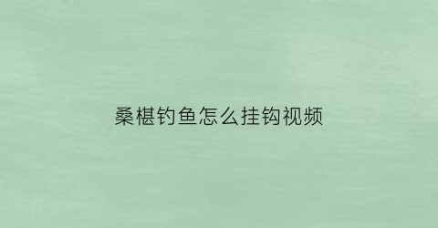 桑椹钓鱼怎么挂钩视频(桑葚钓鱼怎么挂钩)