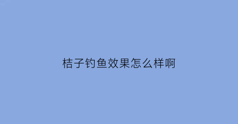 桔子钓鱼效果怎么样啊