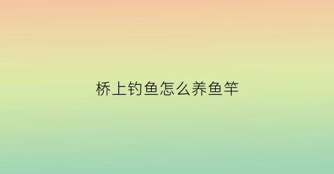 桥上钓鱼怎么养鱼竿