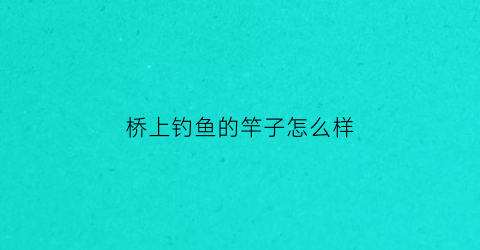 桥上钓鱼的竿子怎么样(桥上手杆钓鱼)