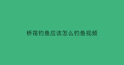 桥筏钓鱼应该怎么钓鱼视频(桥筏钓鱼基础入门视频)
