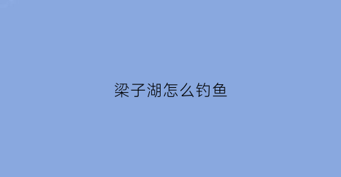 梁子湖怎么钓鱼(粱子湖钓鱼点)