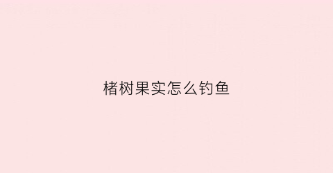 楮树果实怎么钓鱼(楮树的果实的药用价值)