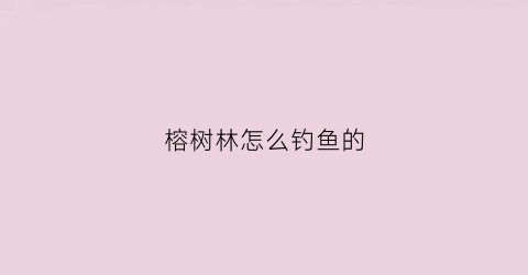 榕树林怎么钓鱼的