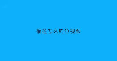 榴莲怎么钓鱼视频(榴莲钓鲤鱼怎样用)