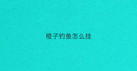 橙子钓鱼怎么挂(钓鱼橙子大全图片价格)
