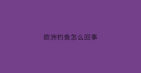 欧洲钓鱼怎么回事(欧洲钓法图解)