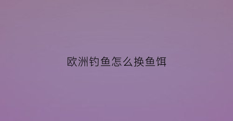 欧洲钓鱼怎么换鱼饵(欧洲钓鱼欧式钓法讲座)