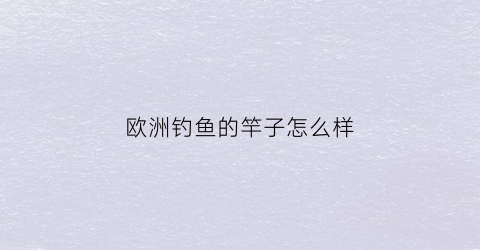 “欧洲钓鱼的竿子怎么样(欧洲钓组图解)