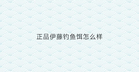 “正品伊藤钓鱼饵怎么样(伊藤品牌)