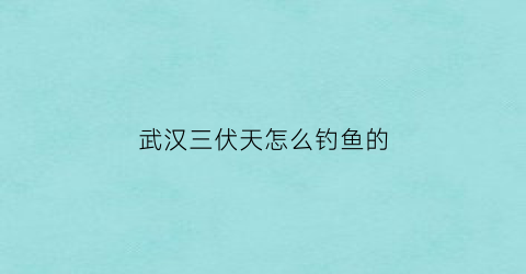 “武汉三伏天怎么钓鱼的(武汉三伏天时间)