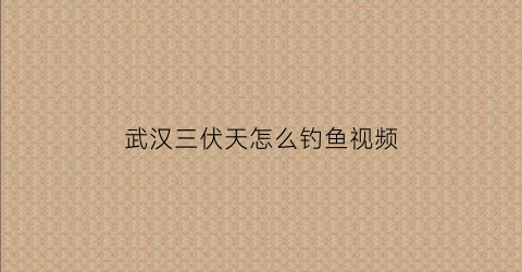 武汉三伏天怎么钓鱼视频