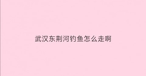 武汉东荆河钓鱼怎么走啊(武汉东荆河鱼种)