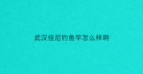 武汉佳尼钓鱼竿怎么样啊