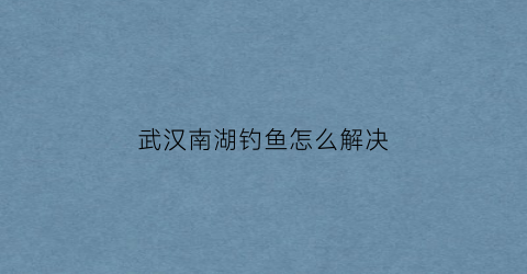 武汉南湖钓鱼怎么解决(武汉南湖鱼好钓吗)