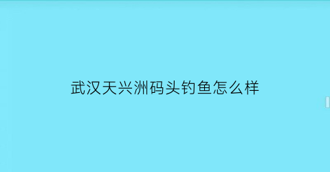 武汉天兴洲码头钓鱼怎么样