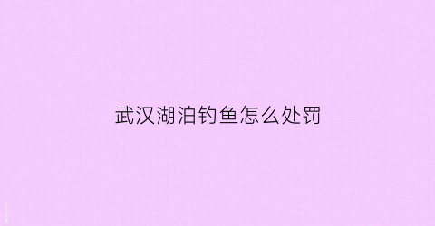 武汉湖泊钓鱼怎么处罚(武汉钓鱼规定)