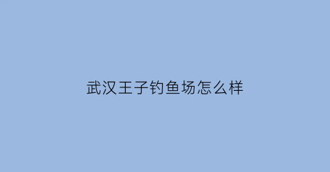 武汉王子钓鱼场怎么样(武汉王子新材料有限公司)