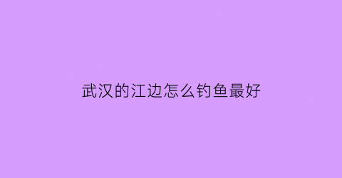 武汉的江边怎么钓鱼最好(武汉江滩钓鱼)