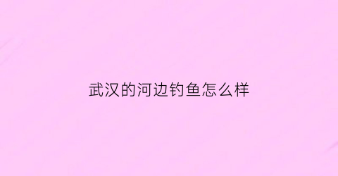 武汉的河边钓鱼怎么样(武汉的河边钓鱼怎么样好钓吗)