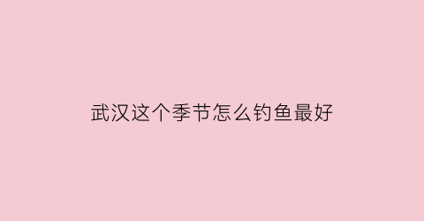 “武汉这个季节怎么钓鱼最好(武汉市钓鱼天气预报)