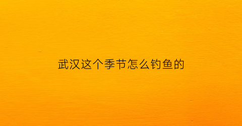 “武汉这个季节怎么钓鱼的(武汉这个季节怎么钓鱼的呢)