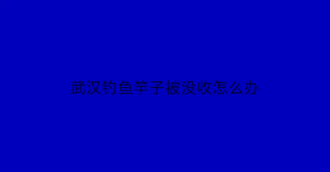 武汉钓鱼竿子被没收怎么办