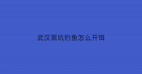 武汉黑坑钓鱼怎么开饵(武汉哪里能钓黑鱼)