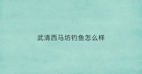武清西马坊钓鱼怎么样(天津西马村)