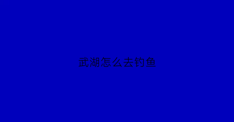 武湖怎么去钓鱼(武湖附近有哪里可以野钓)