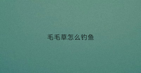 毛毛草怎么钓鱼