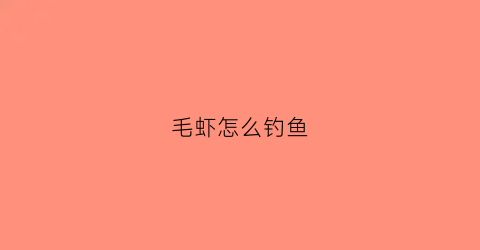 毛虾怎么钓鱼(毛虾特捕)