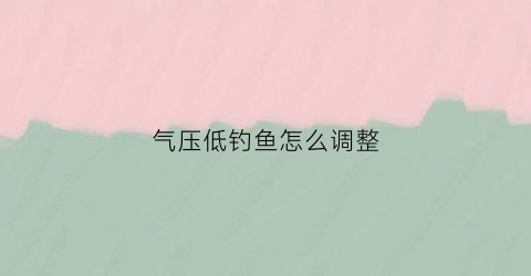 气压低钓鱼怎么调整