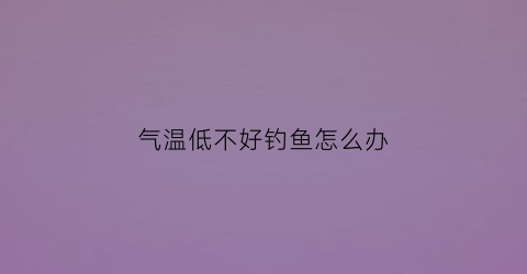 “气温低不好钓鱼怎么办(气温低不好钓鱼怎么办呀)