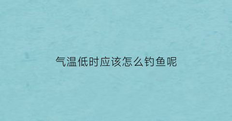 “气温低时应该怎么钓鱼呢(气温低钓鱼用什么饵料)