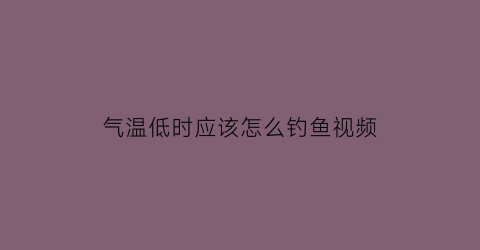 气温低时应该怎么钓鱼视频(气温低能钓鱼吗)