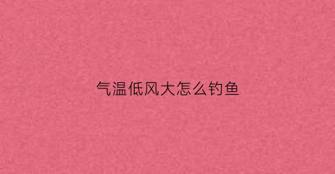 气温低风大怎么钓鱼(气温低风大怎么钓鱼呢)