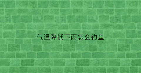 “气温降低下雨怎么钓鱼(气温骤降如何钓鱼)