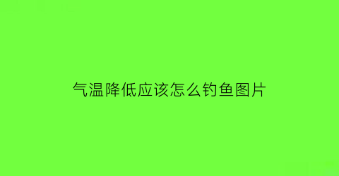 气温降低应该怎么钓鱼图片(气温下降如何钓鲫鱼)