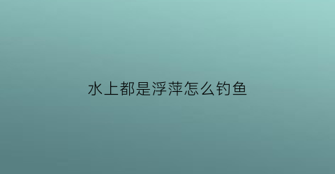 水上都是浮萍怎么钓鱼(水里都是浮萍怎么钓鱼)